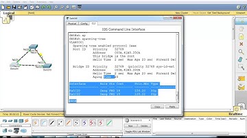 CCNA Routing & Switching: uplink backbone fast