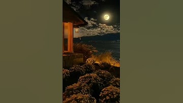 سورة نوح...... عبد الباسط