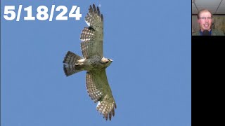 [79] Shorebirds, Warblers, and a Decent Hawk Flight at the Braddock Bay Hawk Watch, 5/18/24