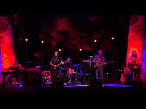 Video: Phil Lesh Net Değeri: Wiki, Evli, Aile, Düğün, Maaş, Kardeşler