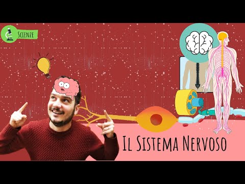 Video: Spiegati 5 comportamenti equivoci