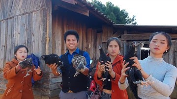 Mus yuav qaib los hu plig peb caug nawb