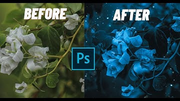 Blue moody tones | Flower & Macro Photography | Photoshop Color Grading Tutorial