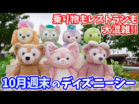 【イベントワクワク割の影響は?】10月週末のディズニーシーの混雑状況を紹介。朝いちのトイマニは何分待ち? キャラクターにはどこで会える? 2022年10月15日 # 464