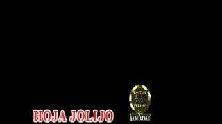 HOJA JOLIJO    ZEZE by Lwenge Studio