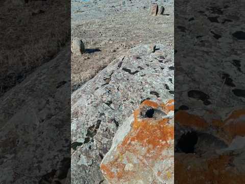 جوغن تک سنگ دو شاخ و هدف اصلی