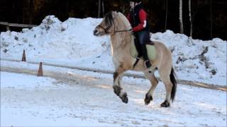 Iivu Kooste 19.3.2016