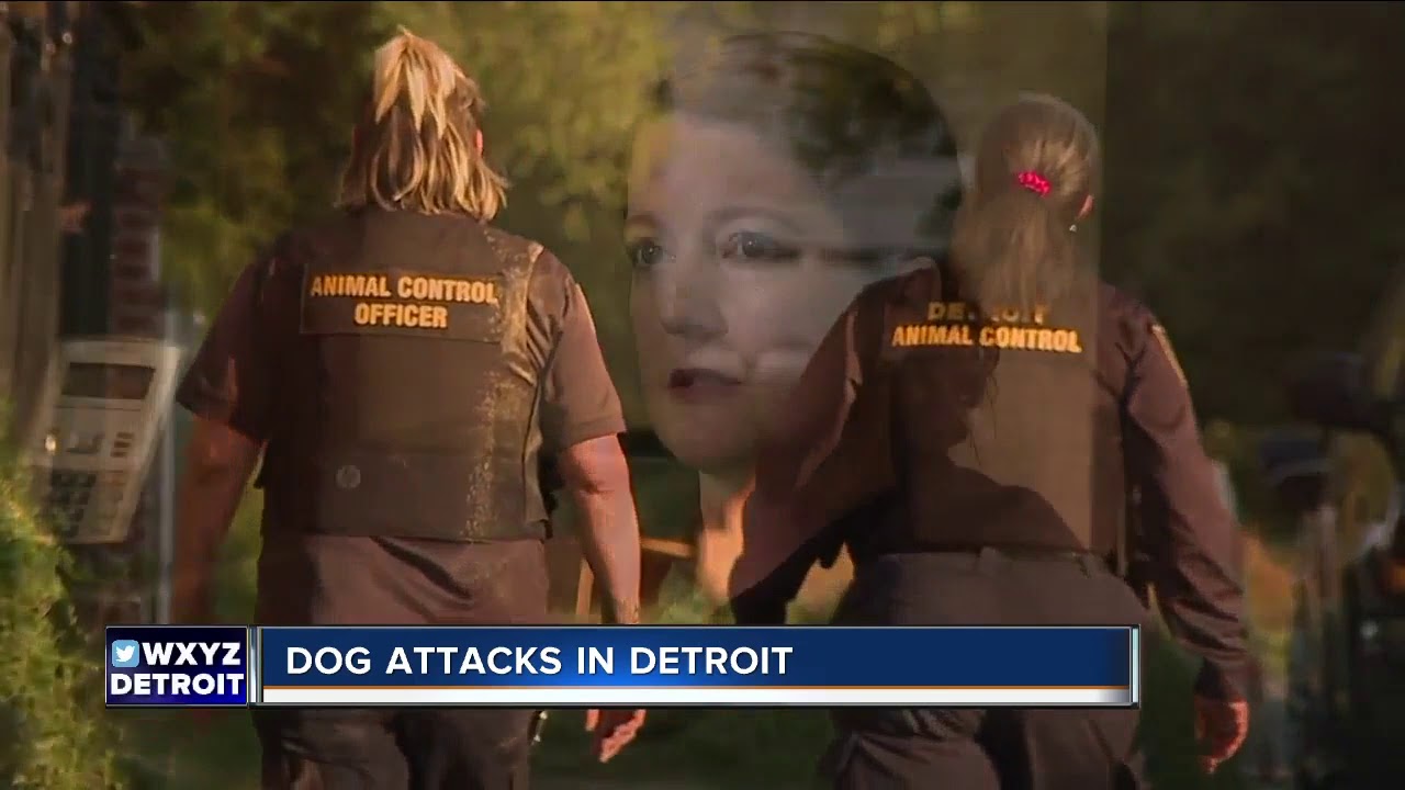 Dog attacks and bites in Detroit prompted more than 200 calls to 911 in ...