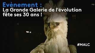Evènement : la Grande Galerie de l'Evolution fête ses 30 ans !