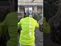 とても寒いのでヒナをあったかハウスに入れます【美里オーストリッチファーム】#shorts