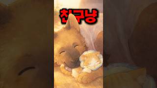 댕댕이가 지켜준 작은 냥이