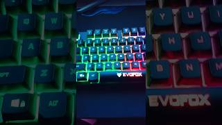 ASMR of the evofox fireblade TKL keyboard #viral #anime #keyboard #satisfying #asmr #shorts