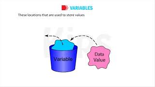 Working Mode, Variable & Data Type in Python