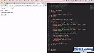 HTML: 19  Dropdowns and Radio Buttons