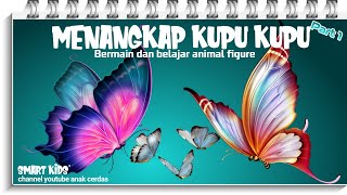 menangkap kupu kupu yang lucu di taman bunga