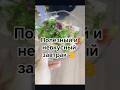 Если хотите хорошо выглядеть и худеть - идеально. Если любите вкусно поесть - перелистывайте) #vs
