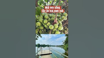 Cô chú lớn tuổi tiếc nuối bán nhà vườn ven sông tâm huyết #hangbds #nhavensong