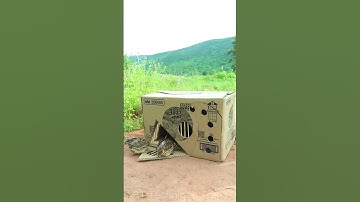 Creative Bird Trap - Quail Trap #bird trap technique #shorts