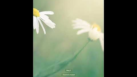 Increase Telegram Channel Members Using @ClickBeeBot