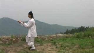 China Wudang Kungfu - Taiji 13 Forms - Master Chen Shixing