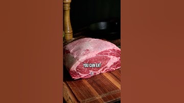 The Carnivore Diet Didn