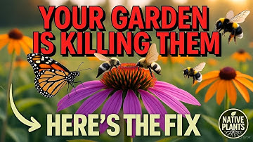 The Missing Link to a Pollinator Paradise (It