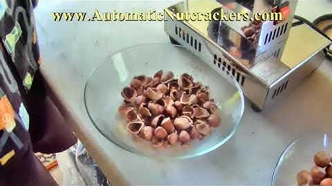 PREMIUM AUTOMATIC ELECTRIC NUTCRACKER ~ Cracks Hazelnuts, Pecans, Almonds and more!