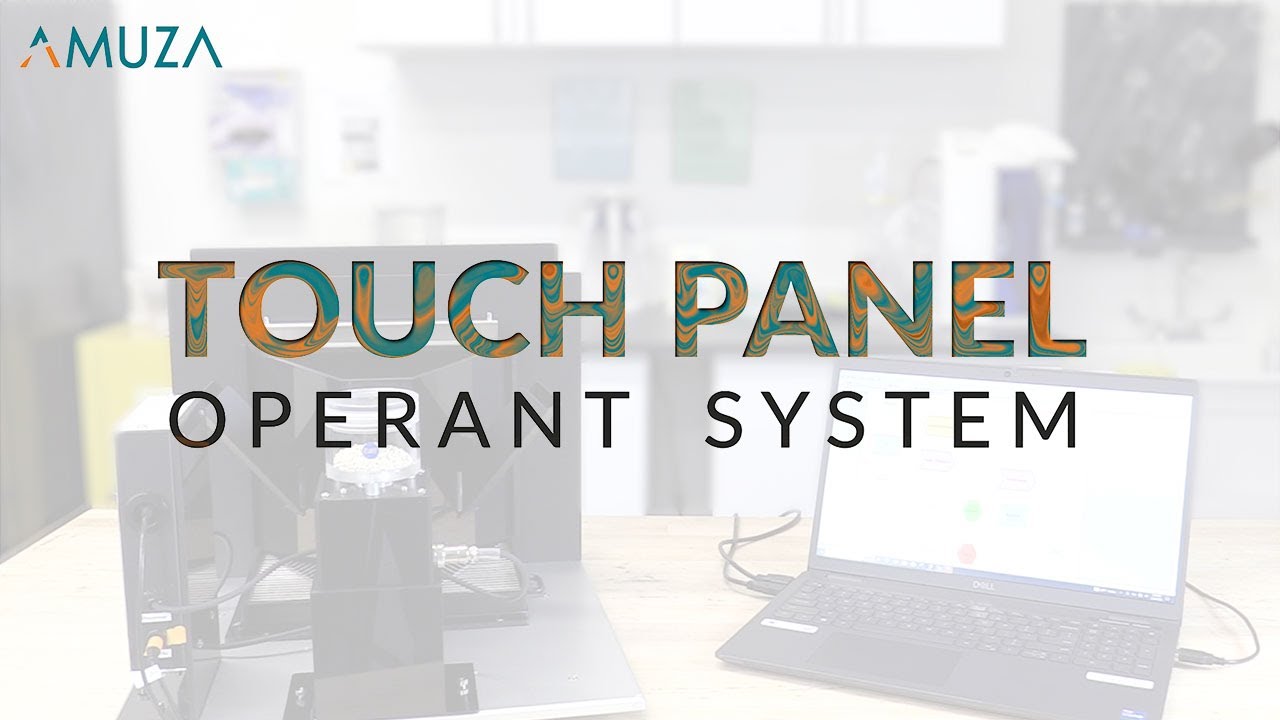 Revolutionize Your Research with the Touch Panel Operant System: An Overview