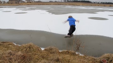 COLDEST DOLPHIN DIVE