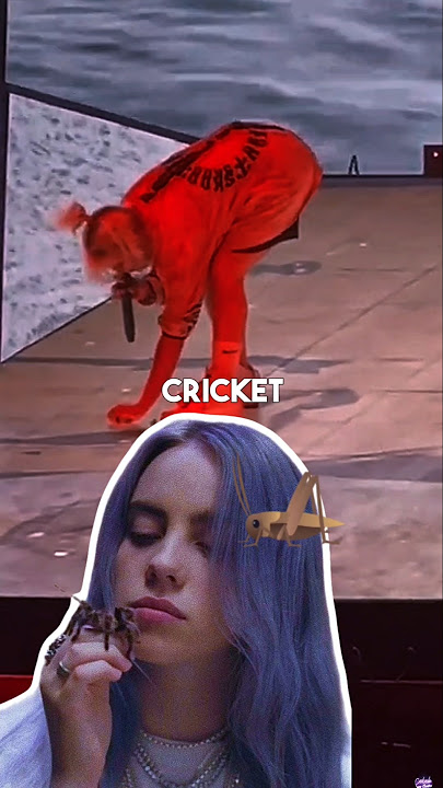 Celebrities vs bugs on stage — hilarious reactions!