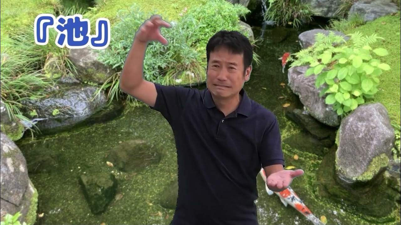 池 20231106 YouTube