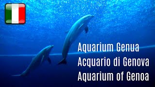 Aquarium Genua - Acquario di Genova - Aquarium of Genoa