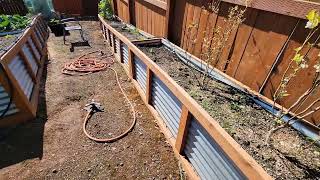 Garden irrigation drip line + organic + filter for city water + mycelium healthy bacteria bokashi