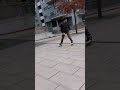 أغنيت بلعشق انا معلم بفيديو سكيت