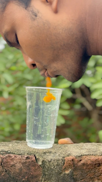 Haldi Walla video trend ￼  #SunnySuperstar #shorts #youtubeshorts #viral #trending #comedy #funny