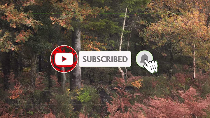 Take a Journey with me into the world of woodland ...