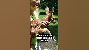 Mama deer is so happy to see her baby she can’t contain herself 🥲