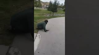 Guy faceplants on pogo stick and loses a tooth