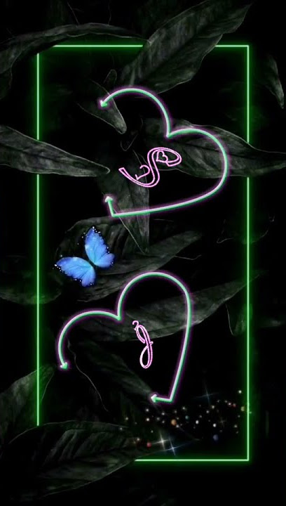 New App for TikTok