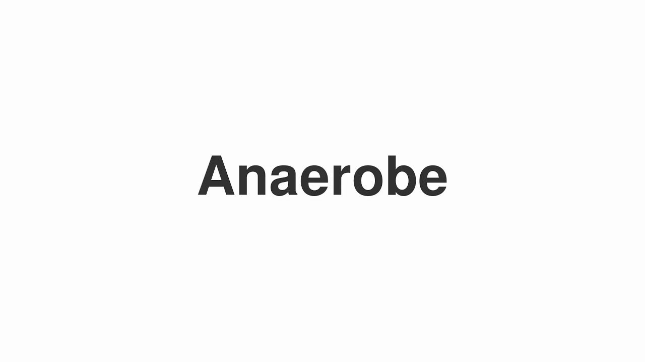 How to Pronounce "Anaerobe"