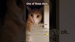 You May Be Down To Be Up Next.