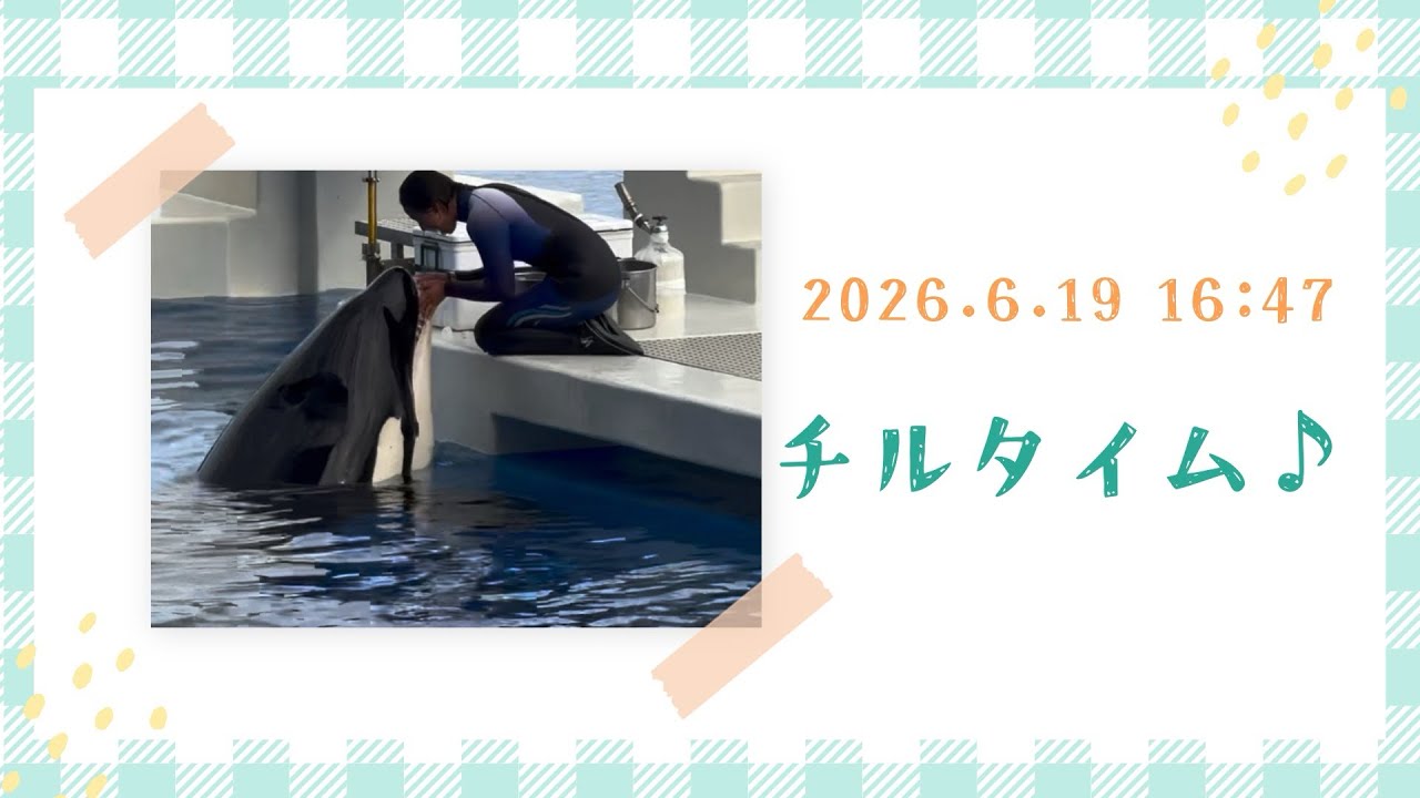 Chill Time♪ 06/19/2026 4:47 PM - YouTube