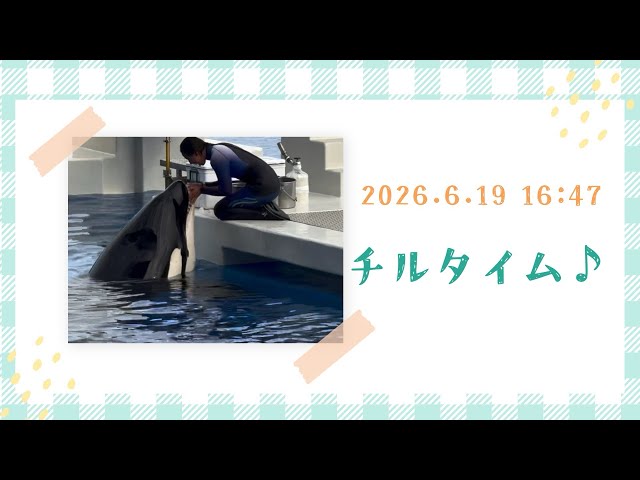 Chill Time♪ 06/19/2026 4:47 PM - YouTube
