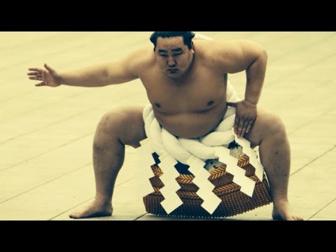 【美品】SUMO STOMP / SUMO COMP Bass Comp】SUMO STOMP/SUMO COMP【Sugi NB4】 - YouTube