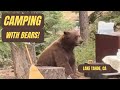 Camping in Lake Tahoe 🏕️ | Bear Encounters, Epic Hikes &amp; Scenic Bike Trails!