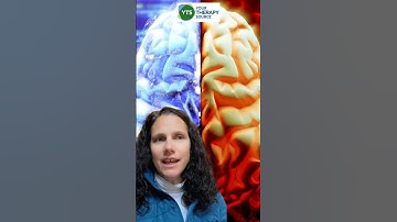 Fun Fact about Executive Function Skills