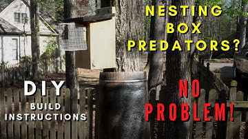 Bluebird Tree Nesting Box Predator Protection DIY Project