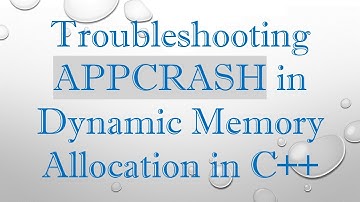Troubleshooting APPCRASH in Dynamic Memory Allocation in C++