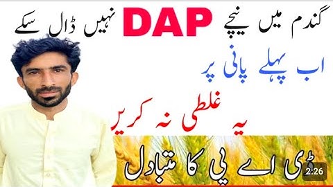 Efficiency phosphorus application on first irrigation in wheat field