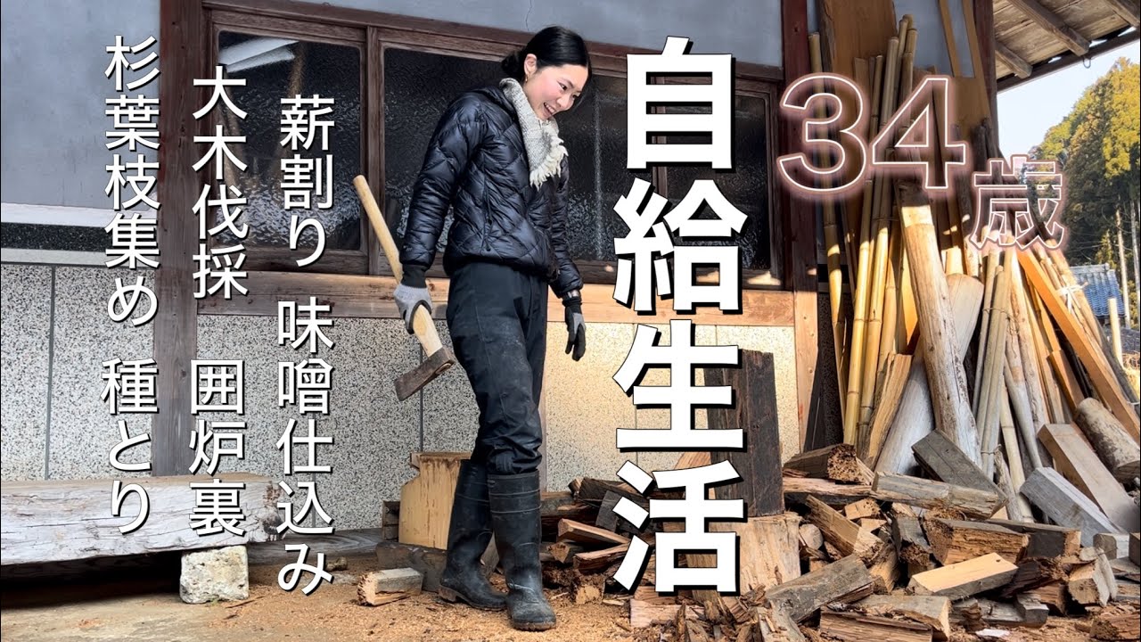 東京から移住5年目の山暮らし・大木伐採、味噌づくり、種とり、薪割り、杉葉杉枝拾い「一月の冬仕事」 Japan countryside vlog